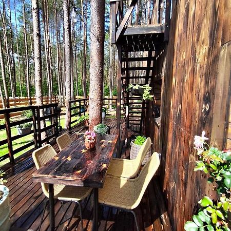 Lesny Domek W Stylu Scandi Z Jacuzzi Nad Jeziorem Kaszuby Grzybowo  Exterior photo