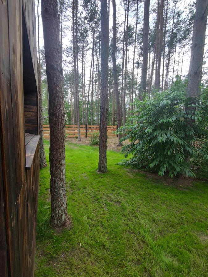 Lesny Domek W Stylu Scandi Z Jacuzzi Nad Jeziorem Kaszuby Grzybowo  Exterior photo