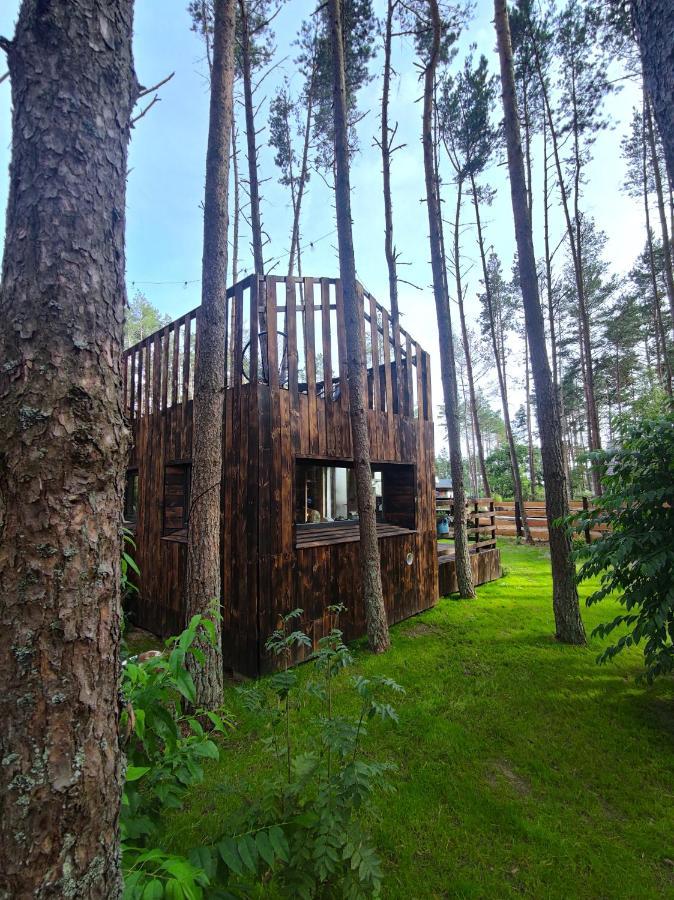 Lesny Domek W Stylu Scandi Z Jacuzzi Nad Jeziorem Kaszuby Grzybowo  Exterior photo
