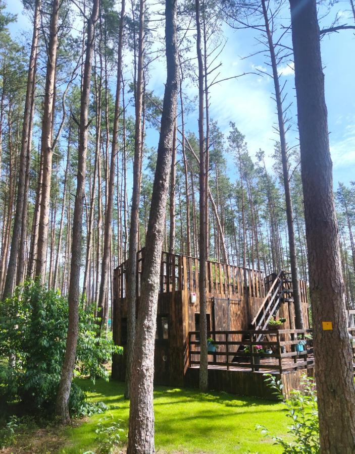 Lesny Domek W Stylu Scandi Z Jacuzzi Nad Jeziorem Kaszuby Grzybowo  Exterior photo