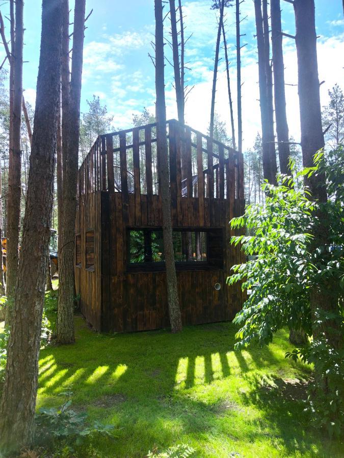 Lesny Domek W Stylu Scandi Z Jacuzzi Nad Jeziorem Kaszuby Grzybowo  Exterior photo