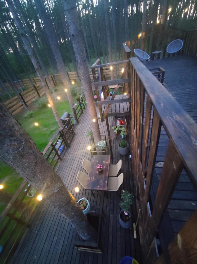 Lesny Domek W Stylu Scandi Z Jacuzzi Nad Jeziorem Kaszuby Grzybowo  Exterior photo
